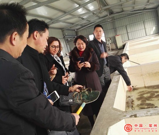 质监局:ISO发展中国家事务委员会主席来常调研