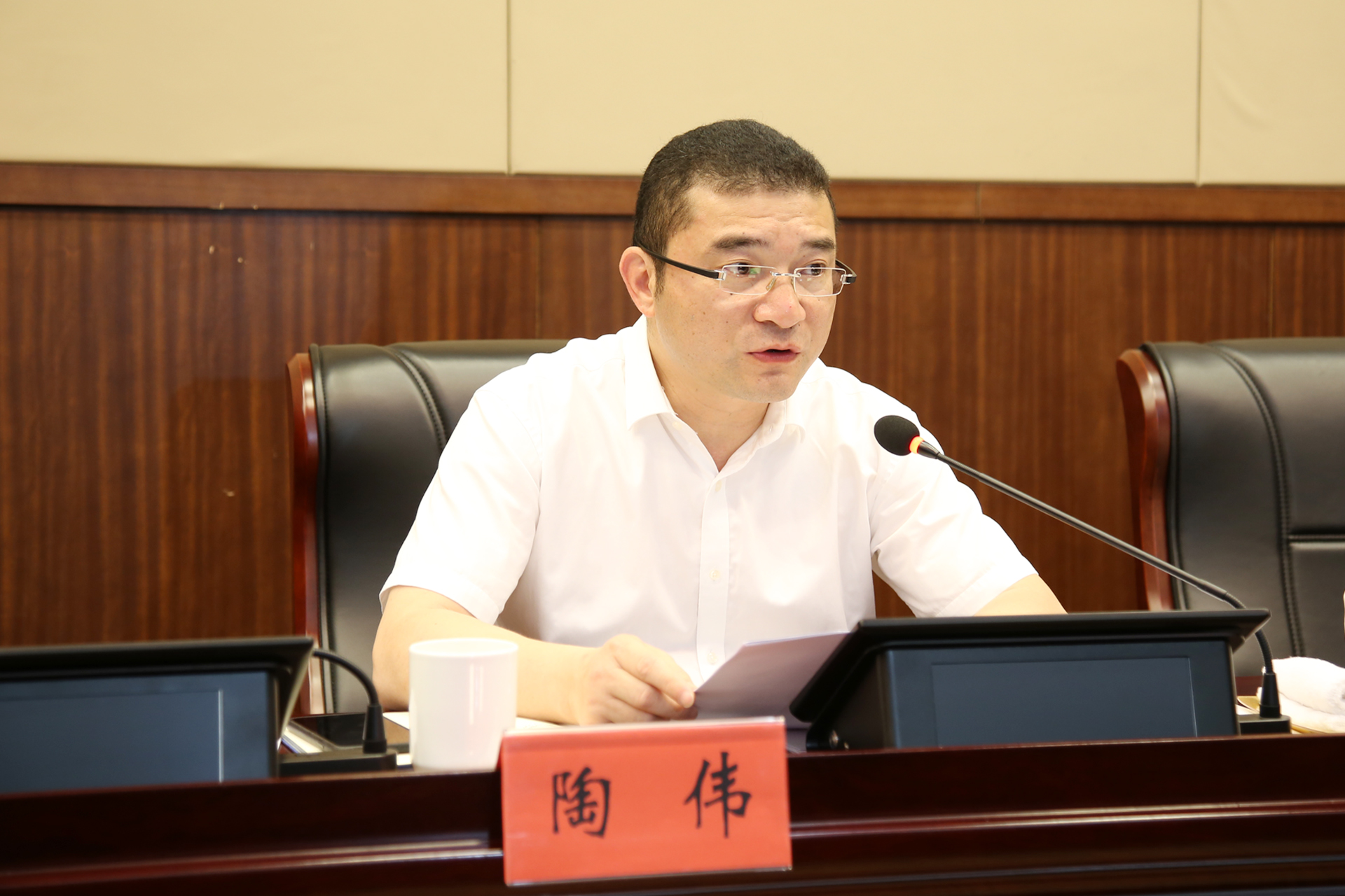 金坛区委常委,常务副区长陶伟讲话