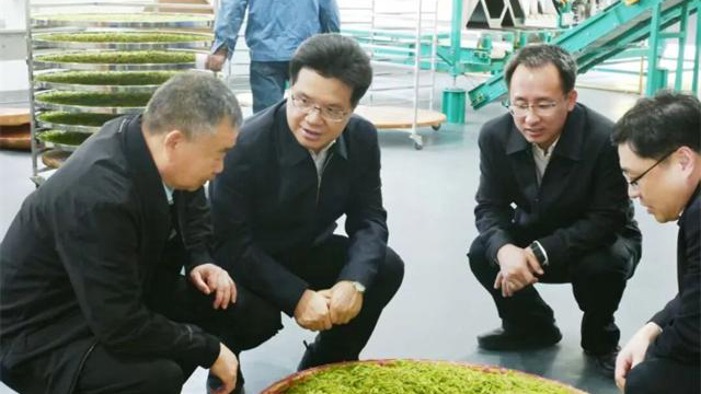 王剑锋在溧阳调研